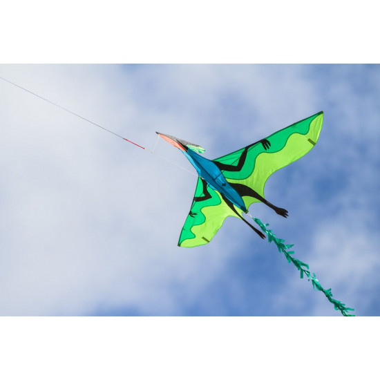 HQ Invento Flyling Dinosaur 3D vienas auklas gaisa pūķis (106516)