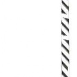 Winnwell GX-4 One Piece Stick Jr hokeja spēlētāja kompozīta nūja (ST0704JR-50-PS119)  RIGHT (LABĀ PUSE)